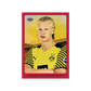 Topps Borussia Dortmund BVB 2024/25 Team Set Box